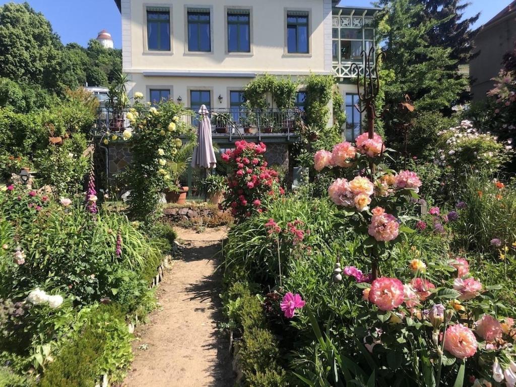 Ferienwohnung Villa Barbara Auf Der Saechsischen Weinroute Radebeul Luaran gambar